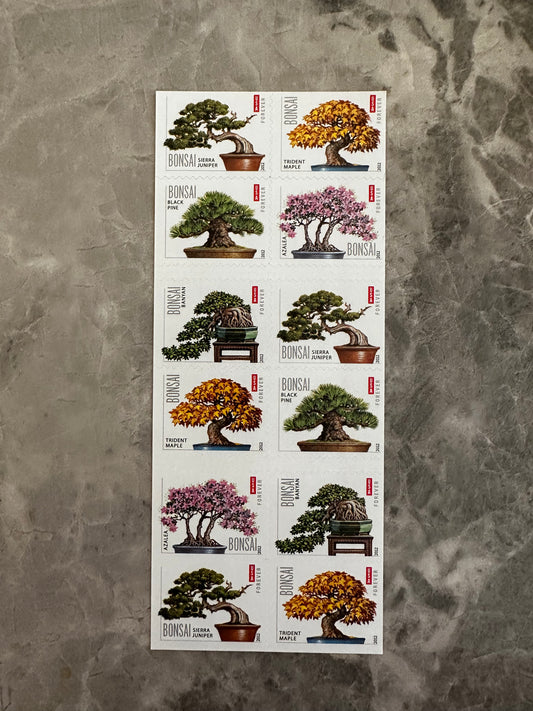 Bonsai Tree Forever First Class Postage Stamps - Mailboxes of Flushing