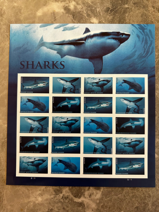 Sharks Ecotourism Conservation Preservation Ecology Nature Forever First Class Postage Stamps