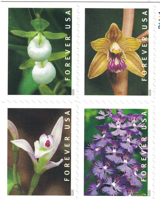 Wild Orchids Forever First Class Postage Stamps - Mailboxes of Flushing